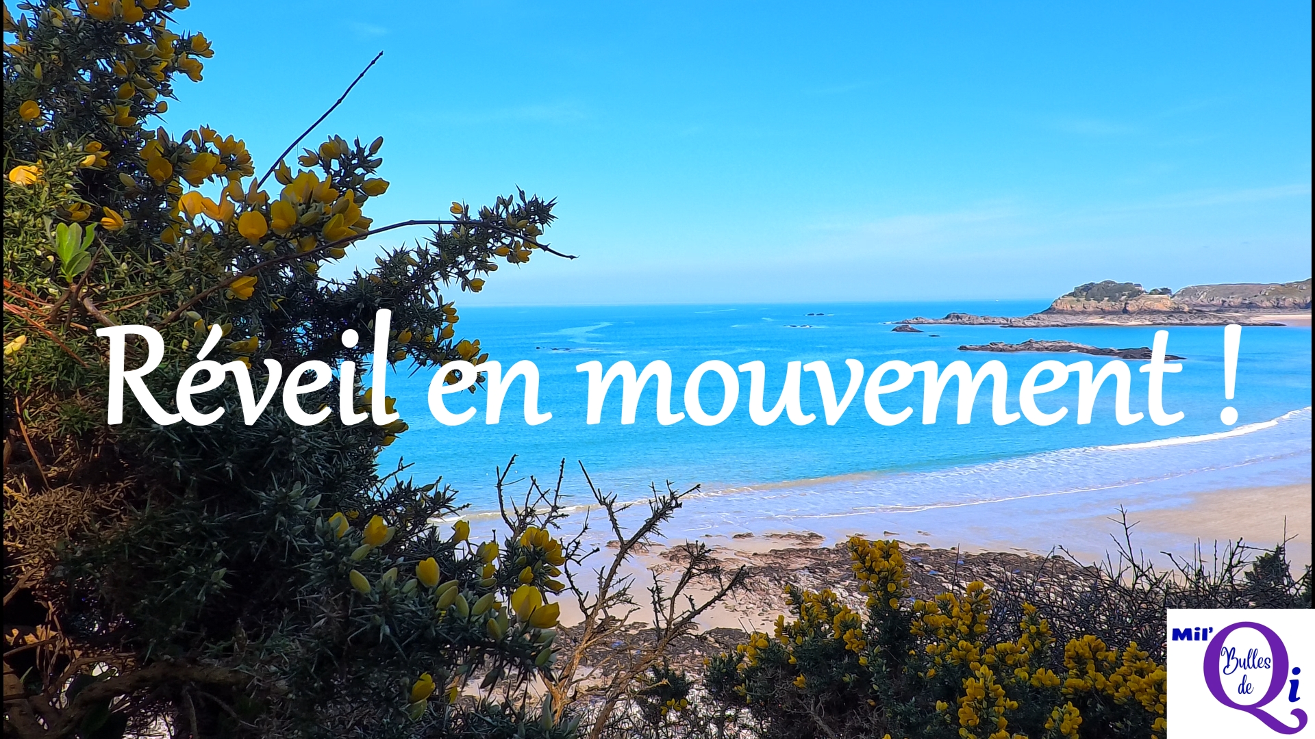 Réveil en mouvement !